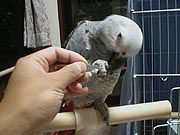 �ꐡ�݂��āI