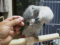 ����Ⴂ����I