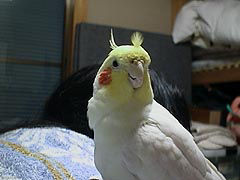 ���H�ȂɂȂɁH