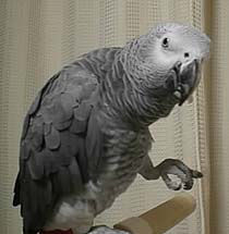 ���H�ǁ`����