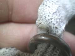 ���ցF�O������߂悩�l����