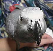 �l�͂�����ԁH