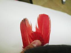 ���ꂪ���H�`