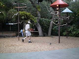 ���o�΂̗l�q