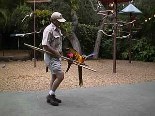 �o�΂��o�΂��`�o�T�o�T