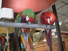 ちょっと待ってね