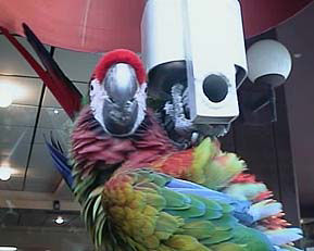 食べる食べる〜