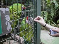 �Ђ܂�肨�������Ȃ�