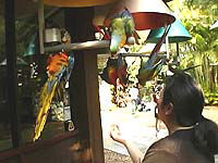 あなた達も食べる?