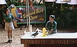 �悢����悢����