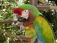 落花生(口止め?)おいし〜よ