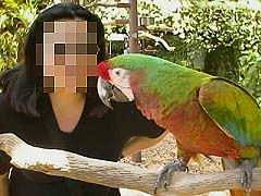 ねぇねぇ何で何で