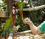 待って待って僕も降りる〜