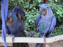 �̂��`�`��