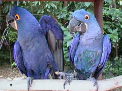 �����Ƃ���