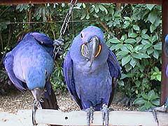 �d�r�œ����ʂ�����݁H