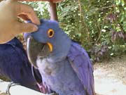 ���܂����ꐡ����������