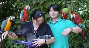 ���݂ꂿ���̐�������