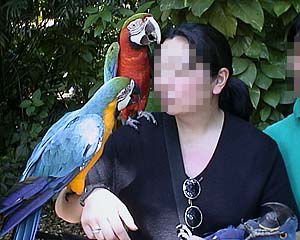 �ǂ����痈���̂�