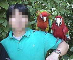 ���� �������͖�Y��