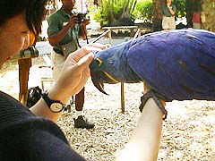 ���̐l���J�����}��