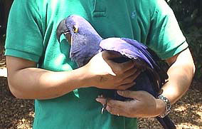 �ǁ`����Ď����ċA�낤(^_^;